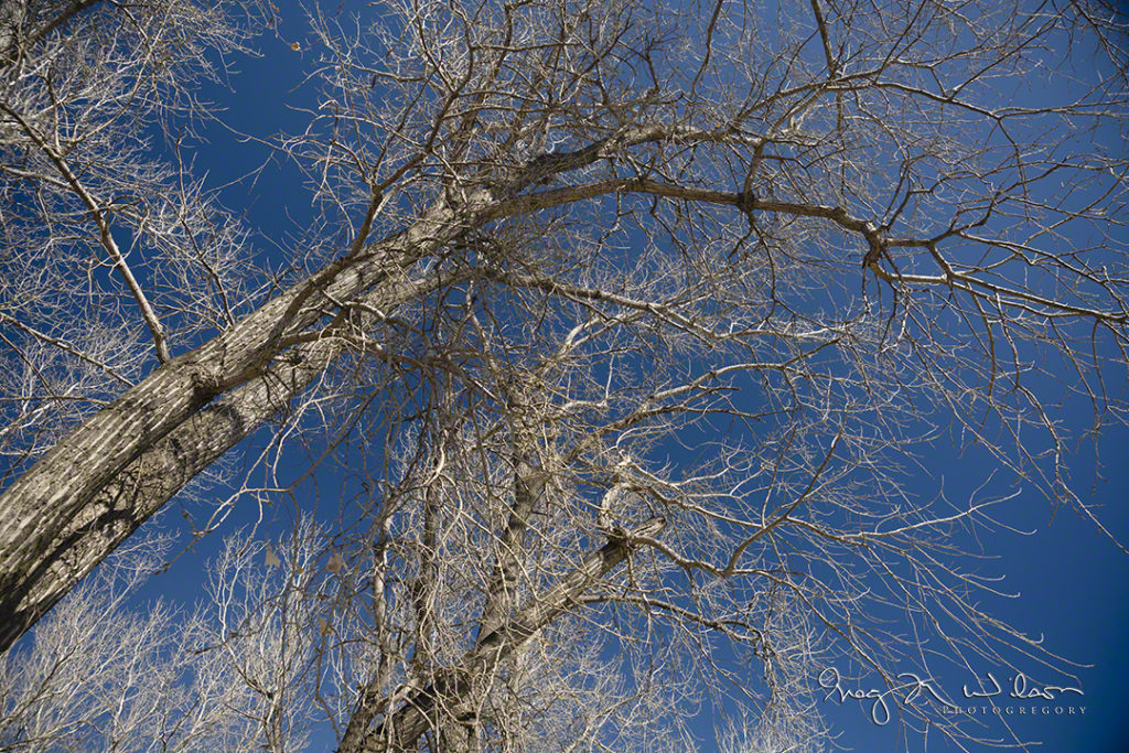 Kaw Point Winter Day