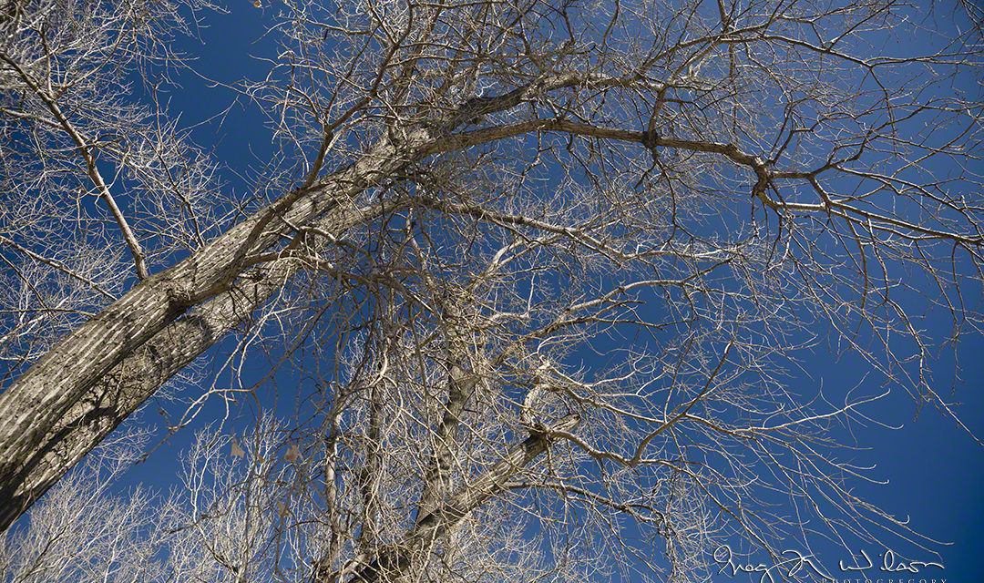 Kaw Point Winter Day